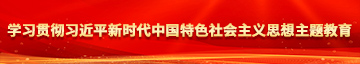 大丁丁老师日小穴勉费看视频学习贯彻习近平新时代中国特色社会主义思想主题教育